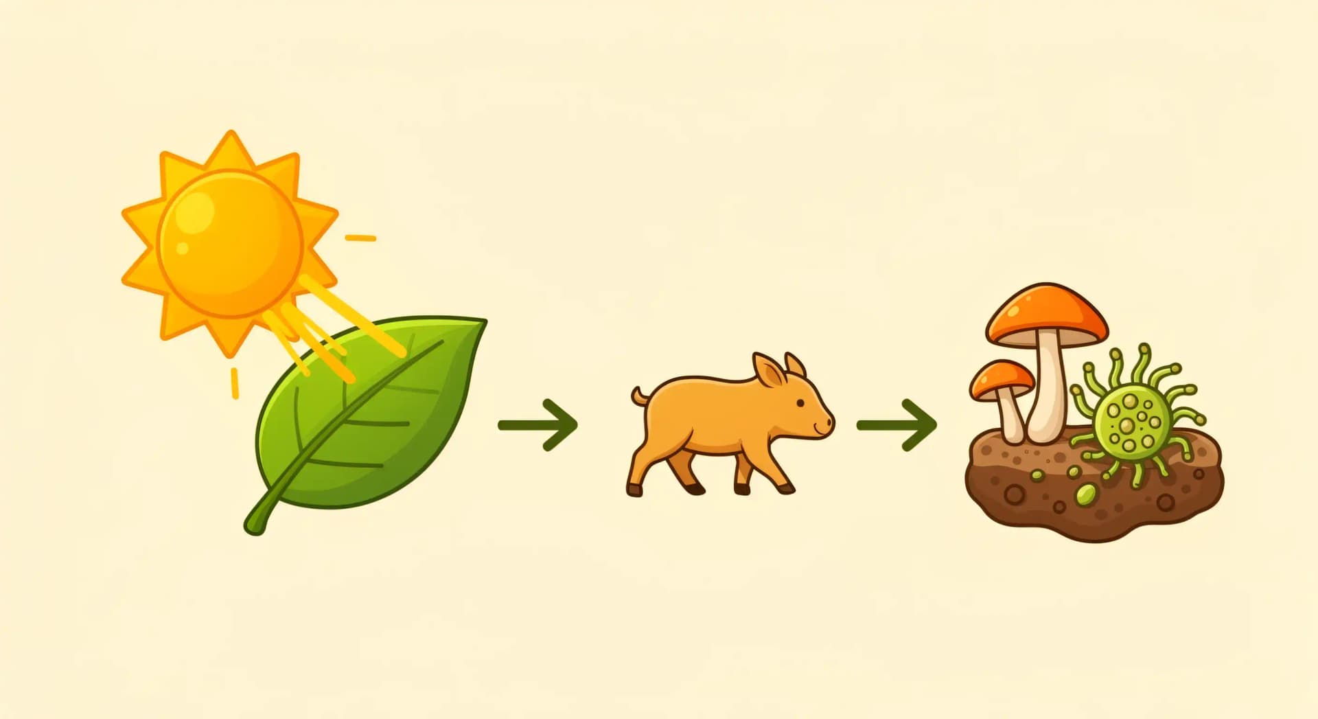 Autotrophie et hétérotrophie : qui nourrit qui ?