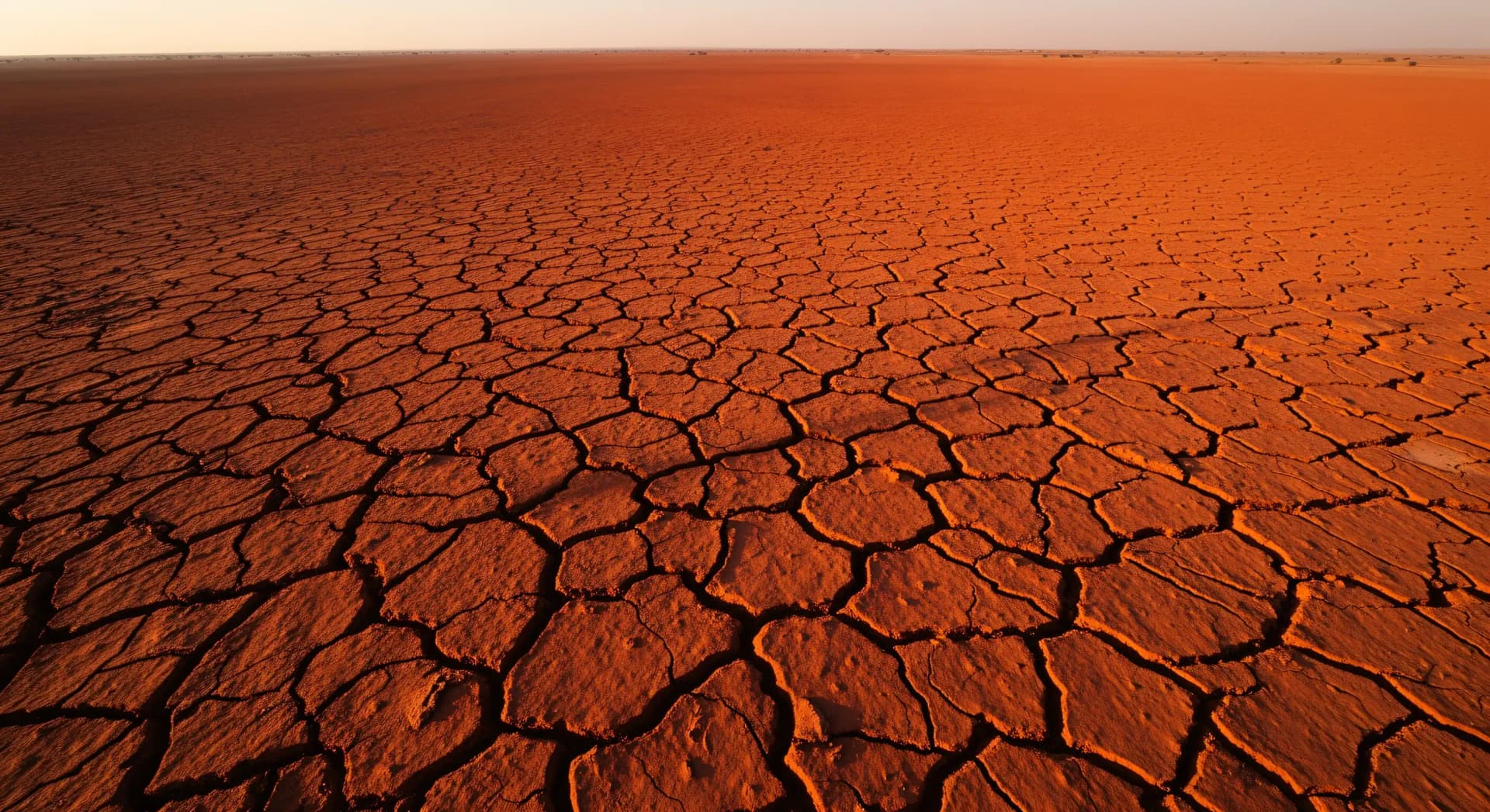 Hothouse Earth : la trajectoire irréversible de Steffen